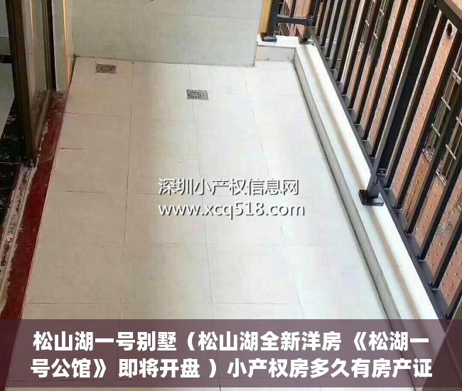 松山湖一号别墅（松山湖全新洋房 《松湖一号公馆》 即将开盘 ）小产权房多久有房产证，