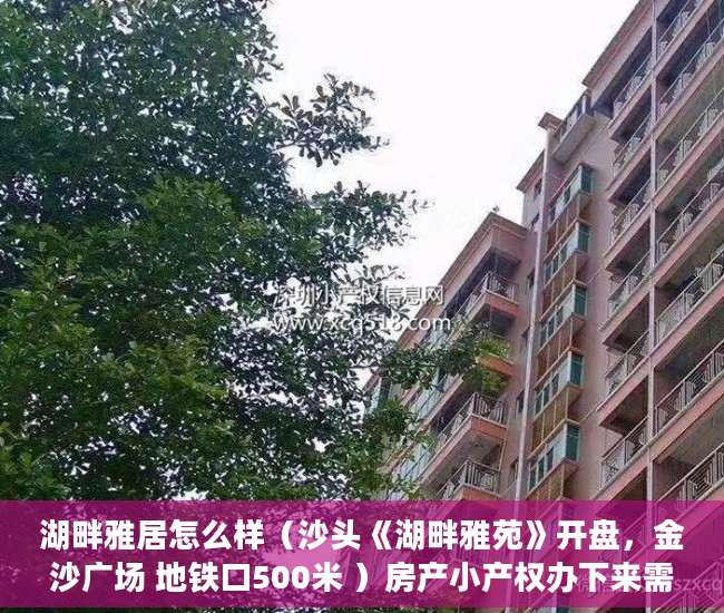 湖畔雅居怎么样（沙头《湖畔雅苑》开盘，金沙广场 地铁口500米 ）房产小产权办下来需要多久，