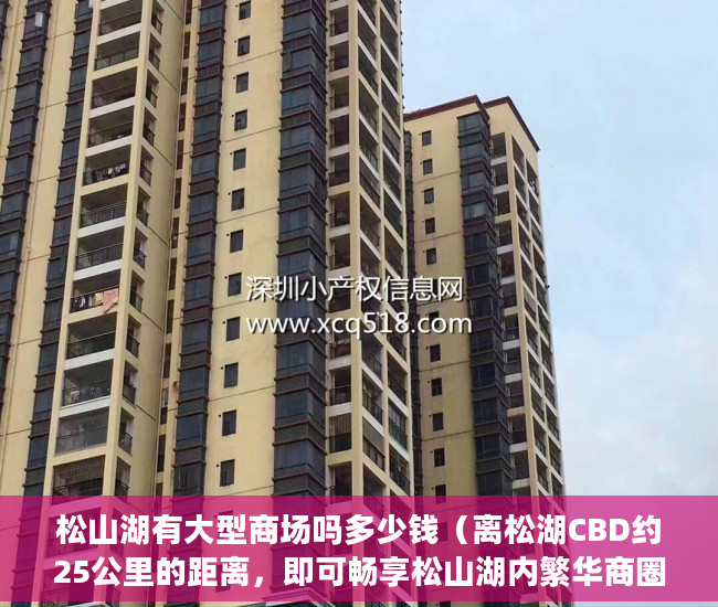 松山湖有大型商场吗多少钱（离松湖CBD约25公里的距离，即可畅享松山湖内繁华商圈 ）小产权房分期能分多久，