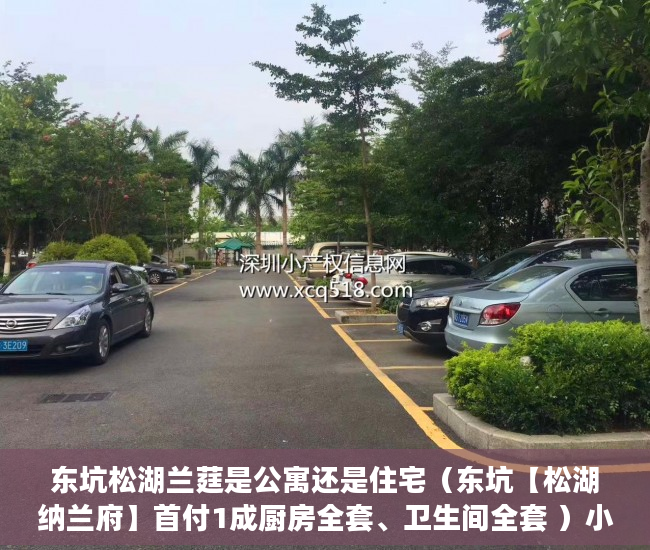 东坑松湖兰莛是公寓还是住宅（东坑【松湖纳兰府】首付1成厨房全套、卫生间全套 ）小产权房70年后怎么办，