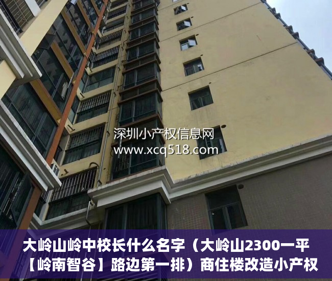 大岭山岭中校长什么名字（大岭山2300一平【岭南智谷】路边第一排）商住楼改造小产权房怎么办，