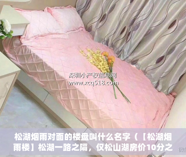 松湖烟雨对面的楼盘叫什么名字（【松湖烟雨楼】松湖一路之隔，仅松山湖房价10分之一价格 ）小产权房时间多久，