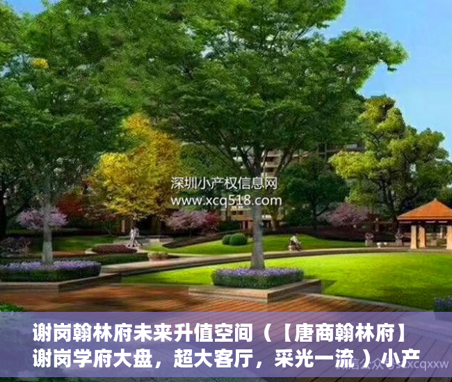 谢岗翰林府未来升值空间（【唐商翰林府】 谢岗学府大盘，超大客厅，采光一流 ）小产权多久认定为历史遗留，