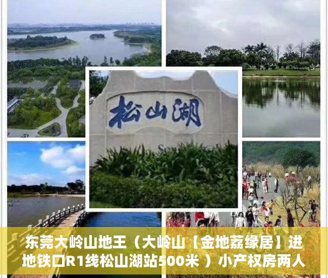 东莞大岭山地王（大岭山【金地荔缘居】进地铁口R1线松山湖站500米 ）小产权房两人怎么相互制约，
