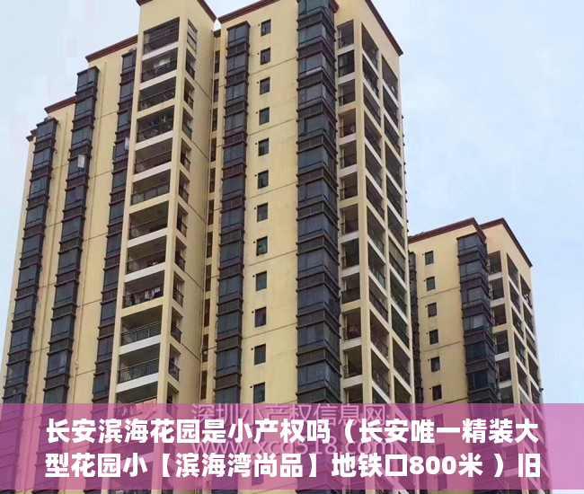 长安滨海花园是小产权吗（长安唯一精装大型花园小【滨海湾尚品】地铁口800米 ）旧村改造的小产权房怎么办，
