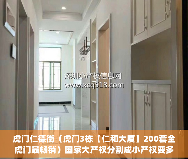 虎门仁德街（虎门3栋【仁和大厦】200套全虎门最畅销）国家大产权分割成小产权要多久，