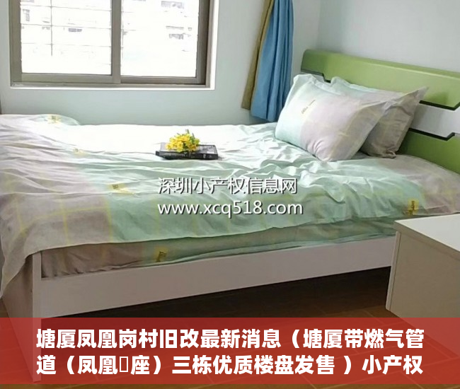塘厦凤凰岗村旧改最新消息（塘厦带燃气管道（凤凰滐座）三栋优质楼盘发售 ）小产权房居住多久合法，