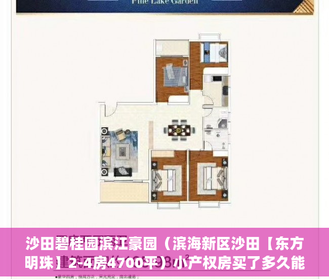 沙田碧桂园滨江豪园（滨海新区沙田【东方明珠】2-4房4700平）小产权房买了多久能卖，