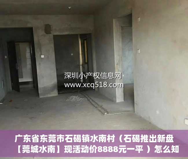 广东省东莞市石碣镇水南村（石碣推出新盘【莞城水南】现活动价8888元一平 ）怎么知道房子大产权小产权，