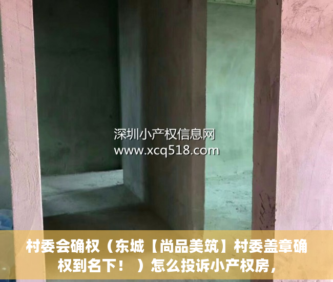 村委会确权（东城【尚品美筑】村委盖章确权到名下！ ）怎么投诉小产权房，