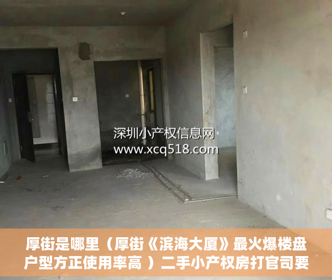 厚街是哪里（厚街《滨海大厦》最火爆楼盘户型方正使用率高 ）二手小产权房打官司要多久，