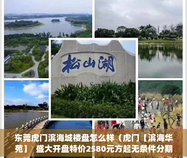 东莞虎门滨海城楼盘怎么样（虎门【滨海华苑】  盛大开盘特价2580元方起无条件分期 ）小产权房过户多久可以买卖，
