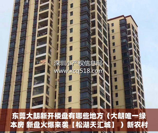 东莞大朗新开楼盘有哪些地方（大朗唯一绿本房 新盘火爆来袭【松湖天汇城】 ）新农村小产权房能住多久，