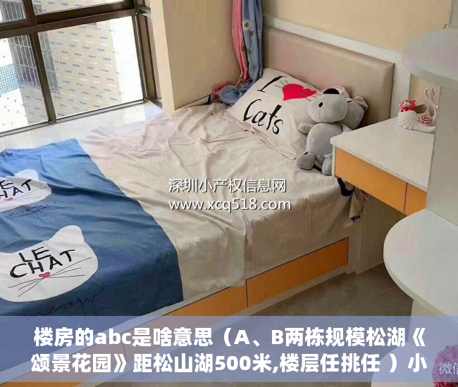 楼房的abc是啥意思（A、B两栋规模松湖《颂景花园》距松山湖500米,楼层任挑任 ）小产权房年限是多久，