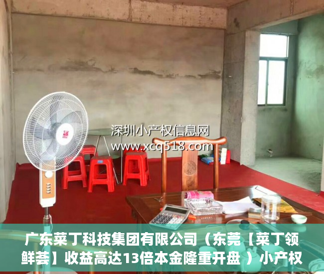 广东菜丁科技集团有限公司（东莞【菜丁领鲜荟】收益高达13倍本金隆重开盘 ）小产权是多久，