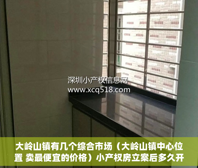 大岭山镇有几个综合市场（大岭山镇中心位置 卖最便宜的价格）小产权房立案后多久开庭审理，