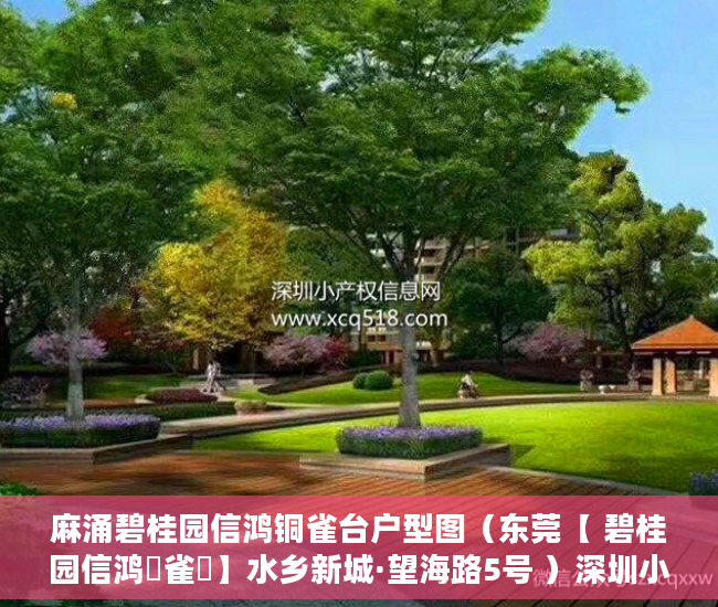 麻涌碧桂园信鸿铜雀台户型图（东莞【 碧桂园信鸿銅雀臺】水乡新城·望海路5号 ）深圳小产权房的产权多久，