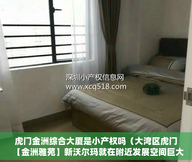 虎门金洲综合大厦是小产权吗（大湾区虎门【金洲雅苑】新沃尔玛就在附近发展空间巨大 ）小产权打官司需要多久，