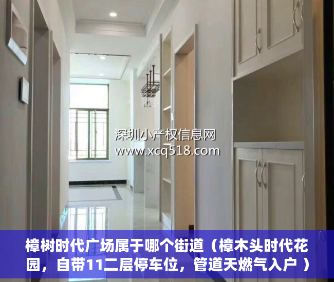 樟树时代广场属于哪个街道（樟木头时代花园，自带11二层停车位，管道天燃气入户 ）2020两会小产权房怎么赔偿，