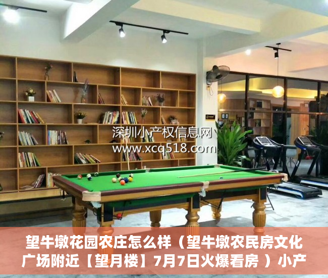 望牛墩花园农庄怎么样（望牛墩农民房文化广场附近【望月楼】7月7日火爆看房 ）小产权房打官司需要多久，