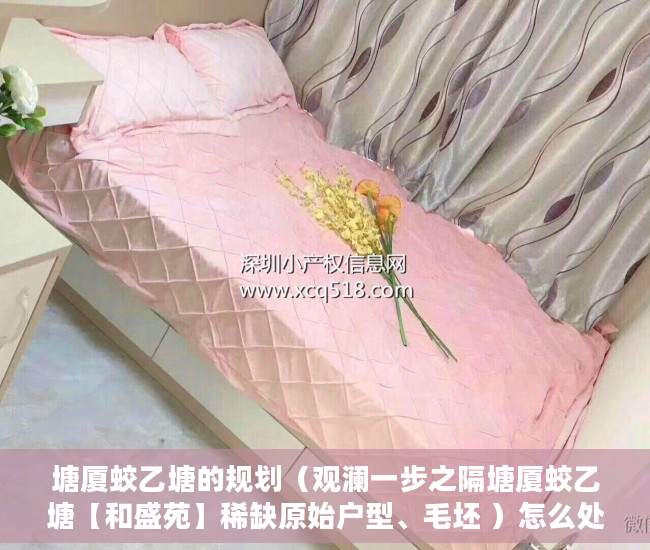 塘厦蛟乙塘的规划（观澜一步之隔塘厦蛟乙塘【和盛苑】稀缺原始户型、毛坯 ）怎么处理小产权房，
