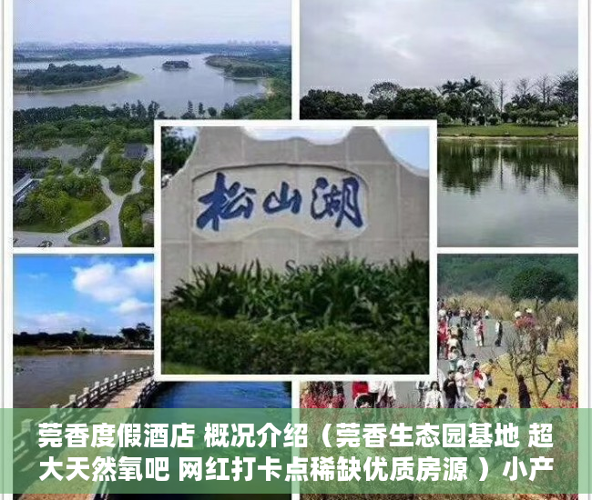 莞香度假酒店 概况介绍（莞香生态园基地 超大天然氧吧 网红打卡点稀缺优质房源 ）小产权房多久能卖，