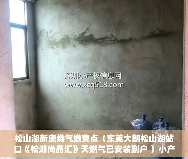 松山湖新奥燃气缴费点（东莞大朗松山湖站口《松湖尚品汇》天燃气已安装到户 ）小产权拆迁要多久，