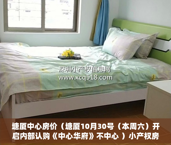塘厦中心房价（塘厦10月30号（本周六）开启内部认购《中心华府》不中心 ）小产权房开庭了多久下判决书，