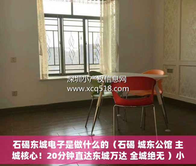 石碣东城电子是做什么的（石碣 城东公馆 主城核心！20分钟直达东城万达 全城绝无 ）小产权房贷款能贷多久，