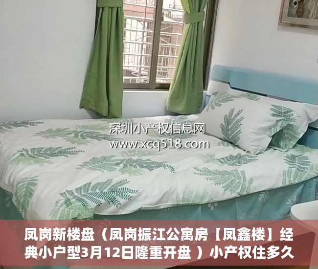 凤岗新楼盘（凤岗振江公寓房【凤鑫楼】经典小户型3月12日隆重开盘 ）小产权住多久，