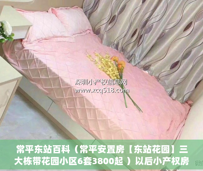 常平东站百科（常平安置房【东站花园】三大栋带花园小区6套3800起 ）以后小产权房怎么处理，