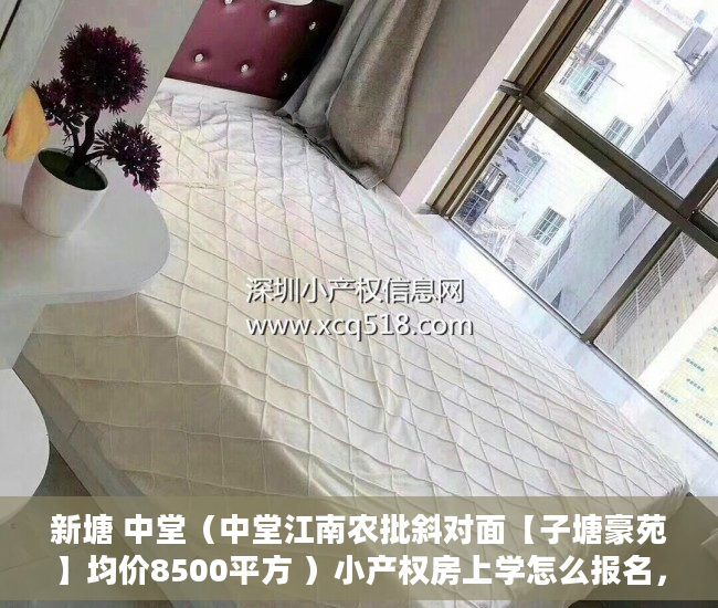 新塘 中堂（中堂江南农批斜对面【子塘豪苑】均价8500平方 ）小产权房上学怎么报名，