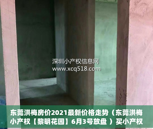 东莞洪梅房价2021最新价格走势（东莞洪梅小产权【黎明花园】6月3号放盘 ）买小产权多久可以入住，