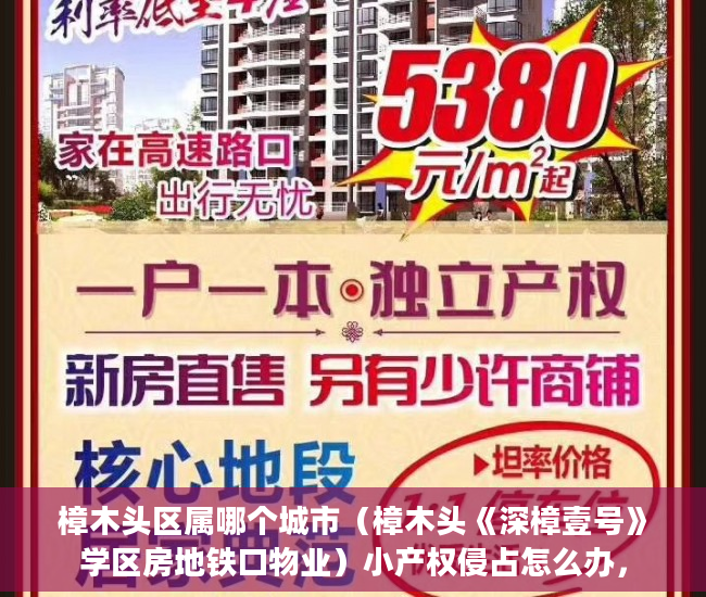 樟木头区属哪个城市（樟木头《深樟壹号》学区房地铁口物业）小产权侵占怎么办，