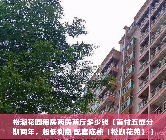 松湖花园租房两房两厅多少钱（首付五成分期两年，超低利息 配套成熟【松湖花苑】 ）深圳小产权租赁税需要交多久，