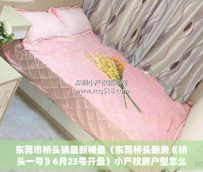 东莞市桥头镇最新楼盘（东莞桥头新房《桥头一号》6月23号开盘）小产权房户型怎么样，