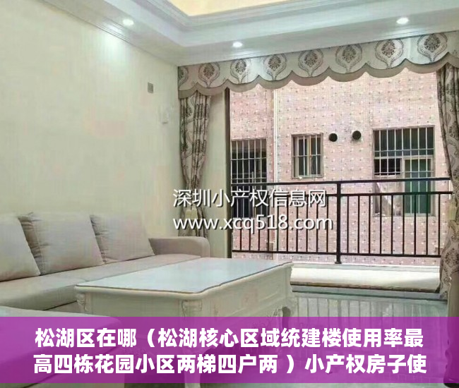 松湖区在哪（松湖核心区域统建楼使用率最高四栋花园小区两梯四户两 ）小产权房子使用权多久，