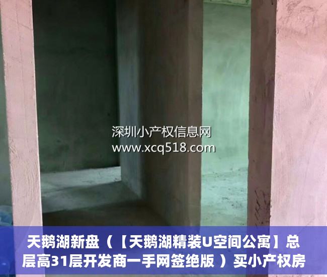 天鹅湖新盘（【天鹅湖精装U空间公寓】总层高31层开发商一手网签绝版 ）买小产权房贷款贷多久放款，