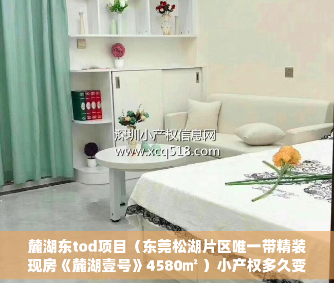 麓湖东tod项目（东莞松湖片区唯一带精装现房《麓湖壹号》4580㎡ ）小产权多久变成大产权，