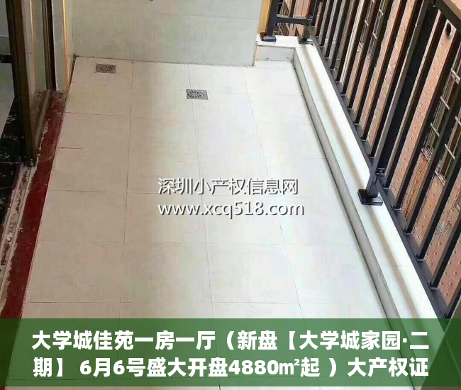 大学城佳苑一房一厅（新盘【大学城家园·二期】 6月6号盛大开盘4880㎡起 ）大产权证办好多久可以办小产权证，