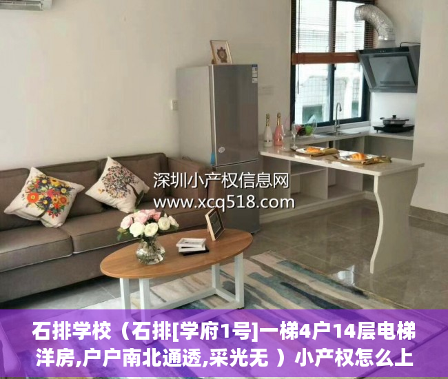石排学校（石排[学府1号]一梯4户14层电梯洋房,户户南北通透,采光无 ）小产权怎么上学，
