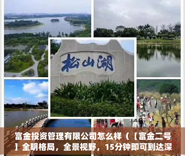 富金投资管理有限公司怎么样（【富金二号】全明格局，全景视野，15分钟即可到达深圳 ）小产权房买卖需要多久，